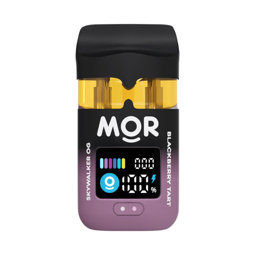 CUREINJOY_MOR_SOG_&_BT_01