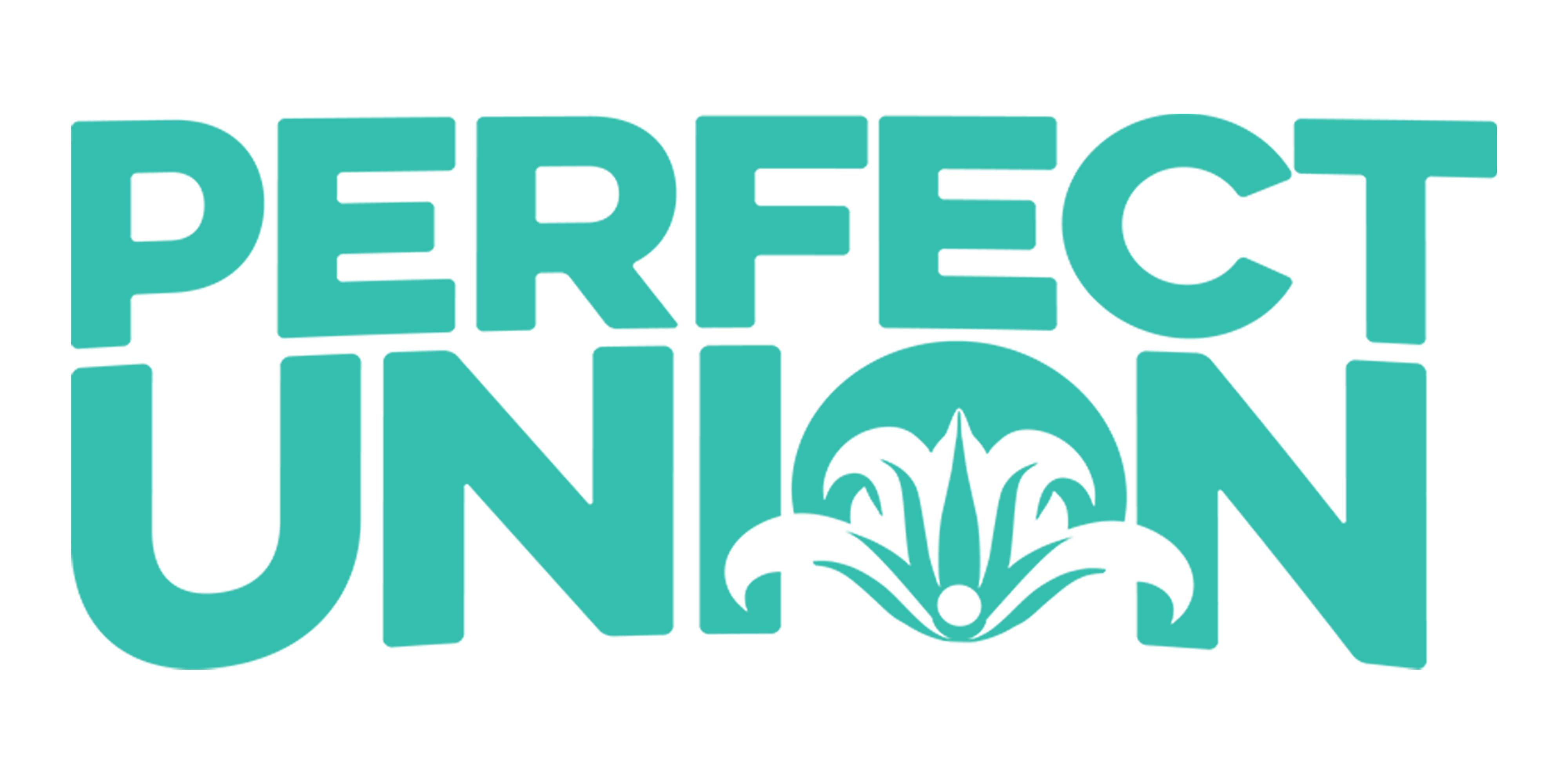 Perfect_Union Logo_For_Website