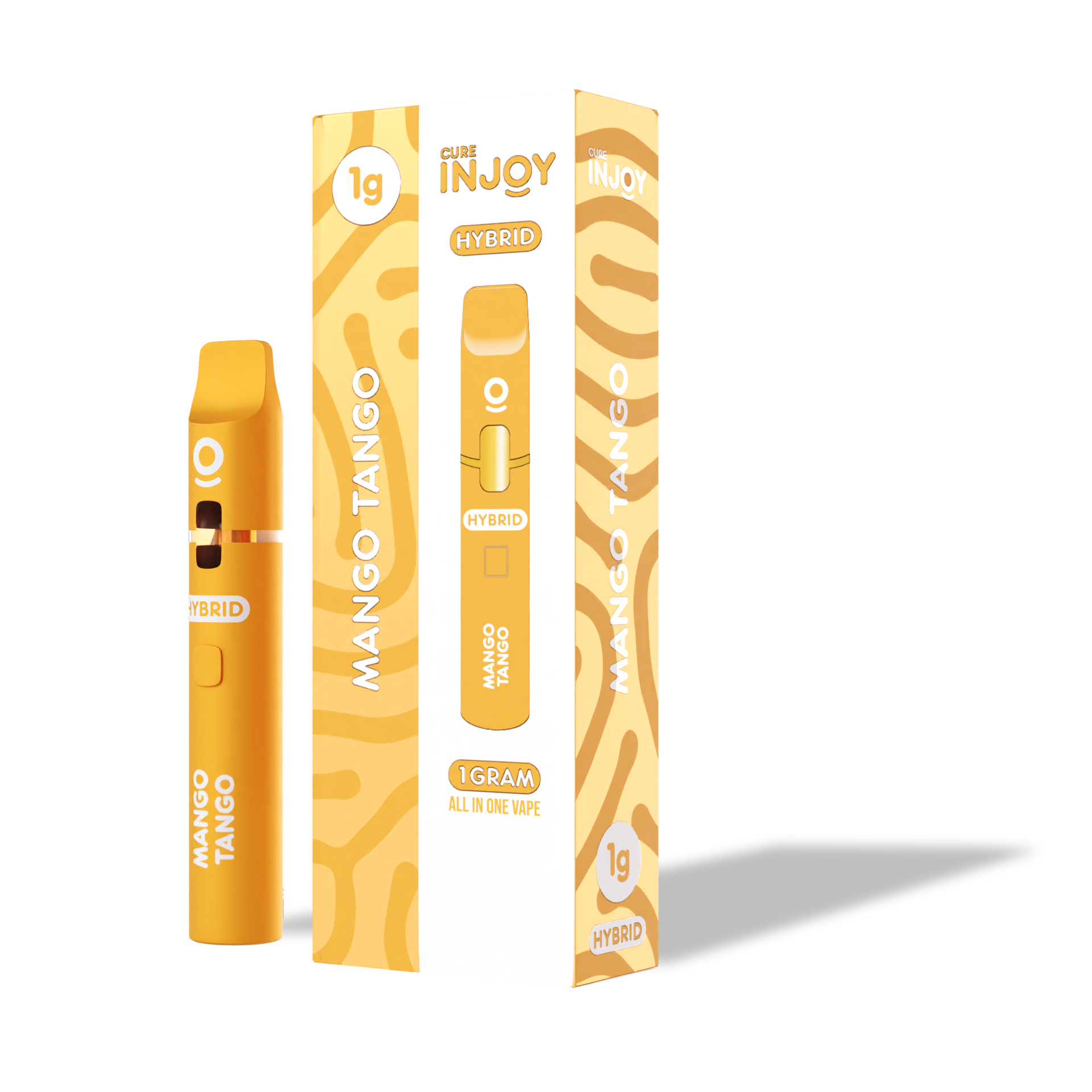 CUREINJOY_1G_MT_03.1-2
